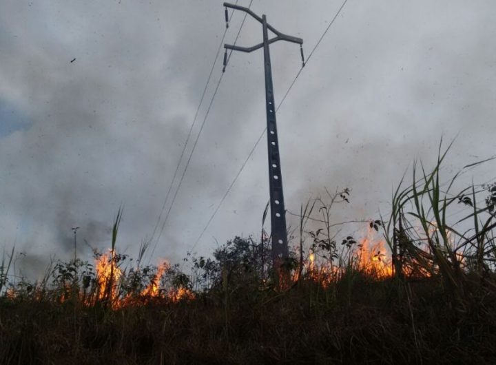 Da Redação com informações da Equatorial